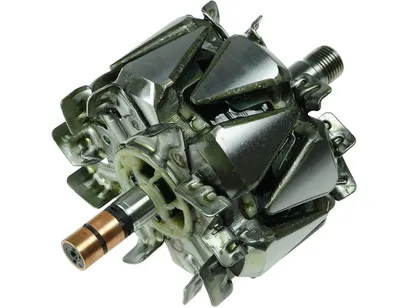 Ротор генератора AS-PL AR3004