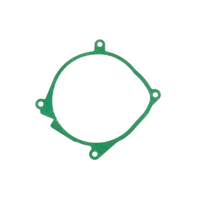 Прокладка опалювача Rema Parts 252069010003