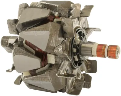 Ротор генератора CARGO F032232766