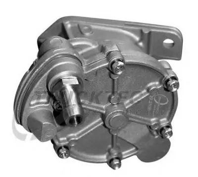 Вакуумний насос Rema Parts 301450100076